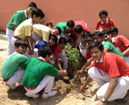 Plantation